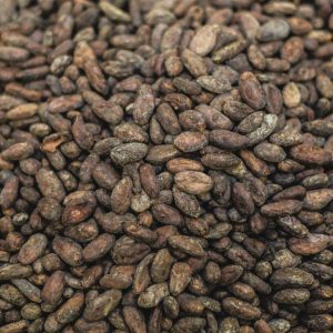 raw-cacao-beans