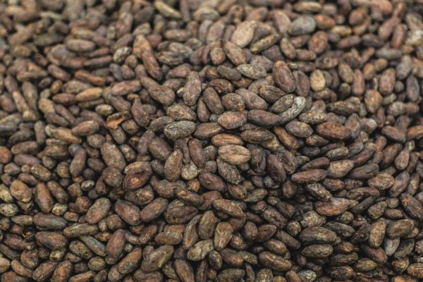 raw-cacao-beans